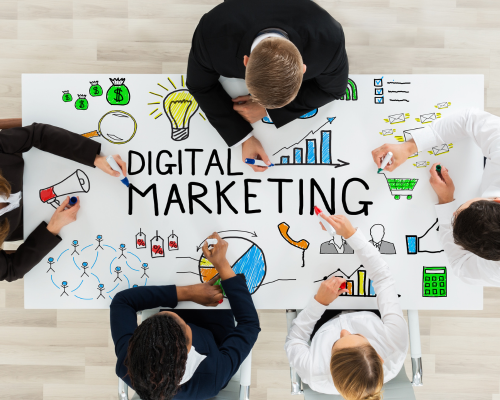 senchola university Digital Marketing